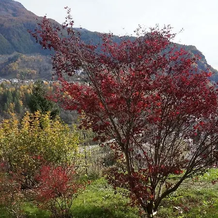 Valmalenco